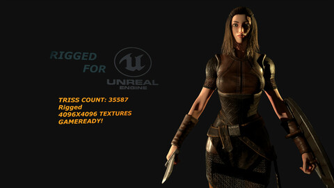 Norse Shield maiden