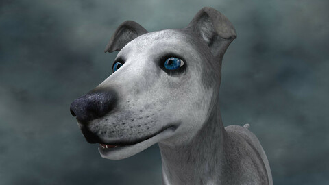MDGH.012 Rigged Dog