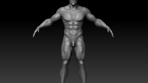 MALE NATIVE BASE BODY MESH