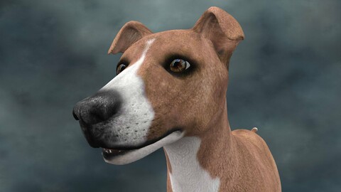 MDGH.015 Rigged Dog
