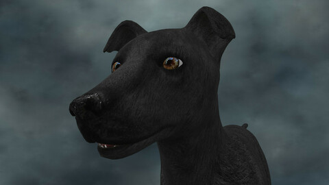 MDGH.016 Rigged Dog