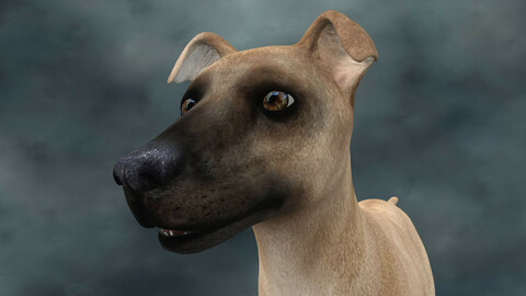 MDGH.019 Rigged Dog