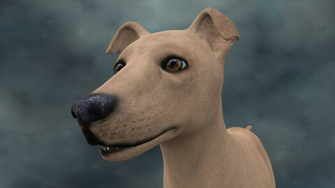 MDGH.022 Rigged Dog