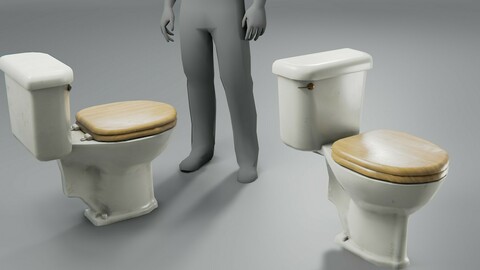 Grungy Toilet Low-poly 3D model