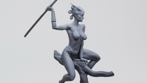 Amazonian Girl  STL for 3d printing .