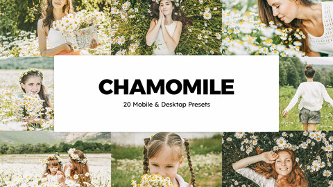 20 Chamomile LUTs and Lightroom Presets