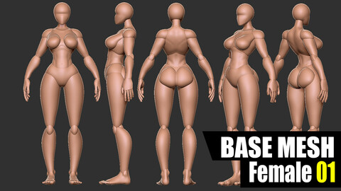 Base Mesh Female 01