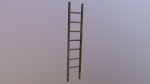 Wooden Stairs 2 3D Model free