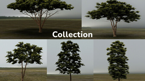 Large Trees Lowpoly Collection