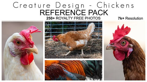 Creature Design Reference Pack - Chickens - 250+ Royalty Free Photos