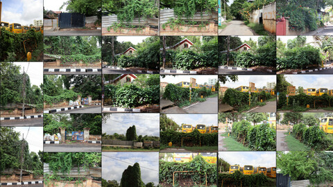 Photobash - Overgrown