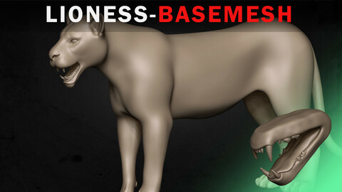 Lioness Basemesh 3D model