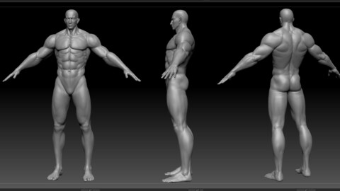 Muscle man  Fitness male basic model