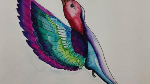 hummingbird