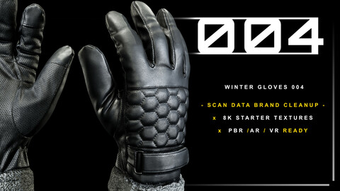 Winter Gloves 004