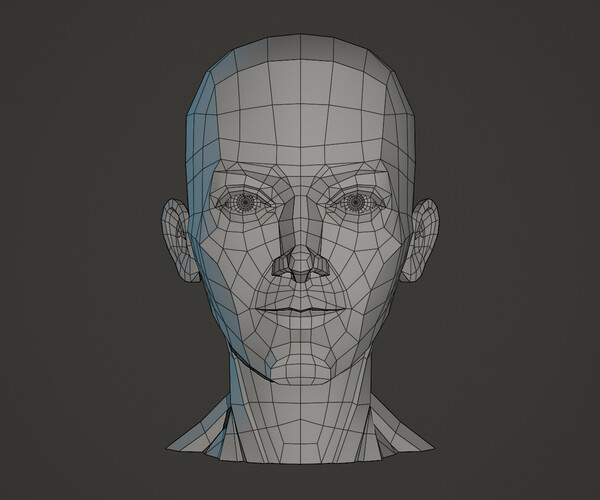 ArtStation - Character - Female Head Planar | Resources