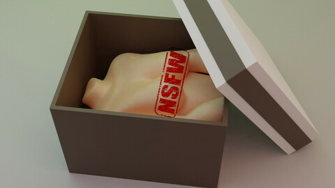 NAUGHTY PRESENT BOX 2