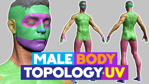 Full Male Body topology and UV map