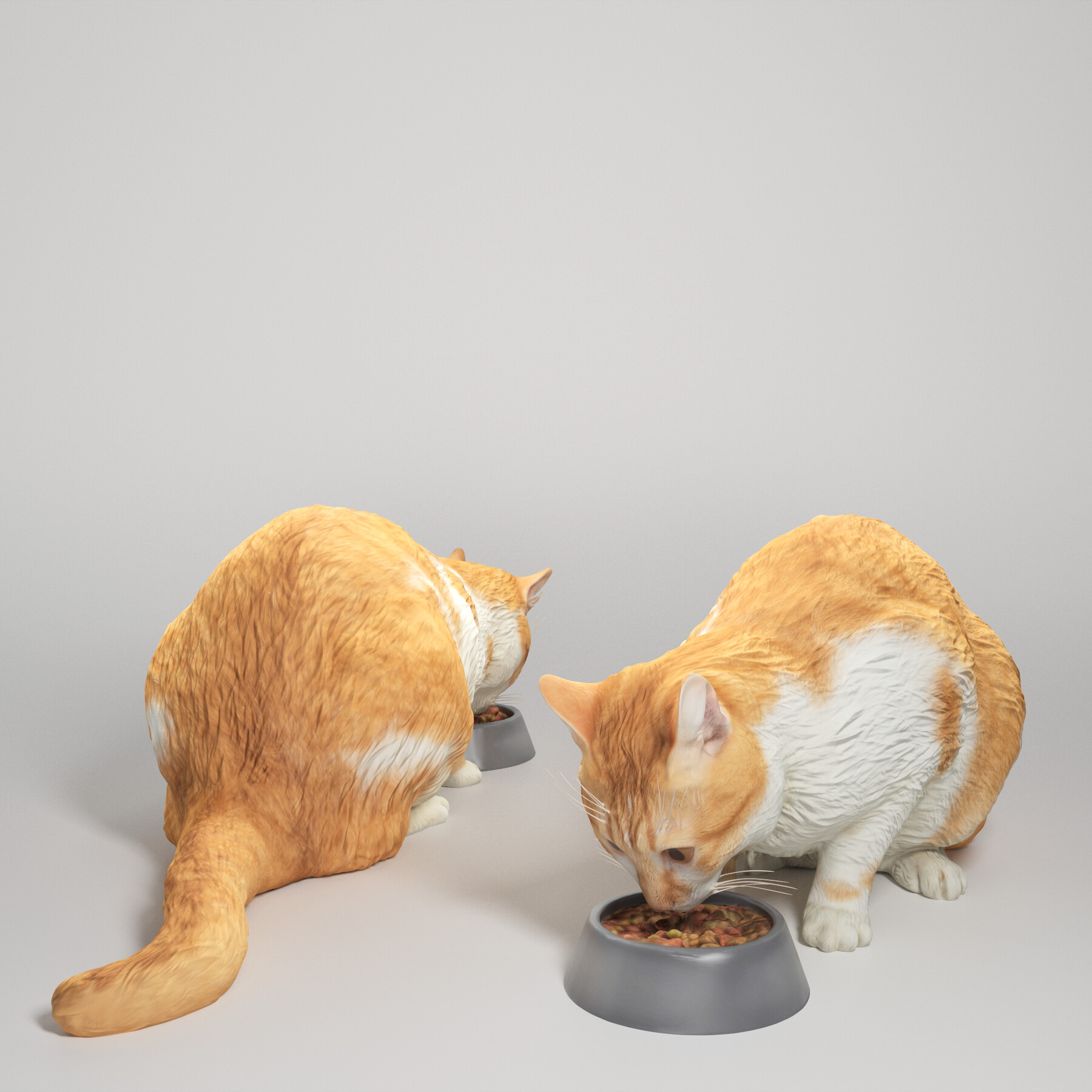 ArtStation Cat eating food 12 Game Assets