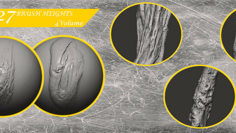 Z brush - Trunk Detail Brushes 4 Volume