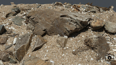 Beach Rock_0008(Photogrametry.Photoscan.obj,Photo)