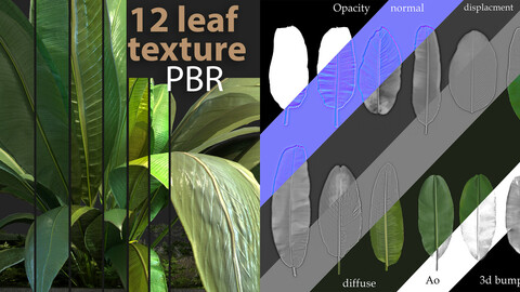 12 leaf banana texture  PBR