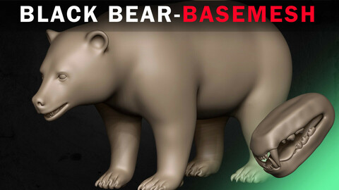Black Bear Basemesh 3D model