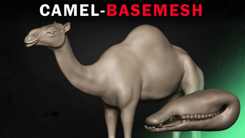 Camel Basemesh 3D model