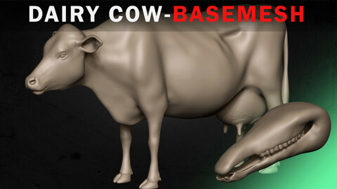 Dairy Cow  Basemesh 3D model