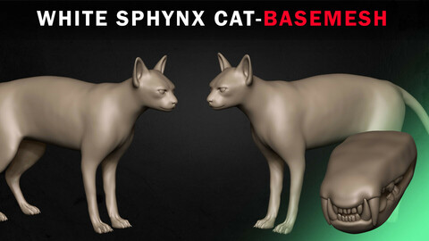 White Sphynx Cat Basemesh 3D model