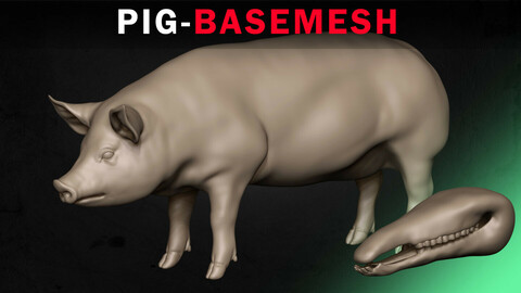 Pig Basemesh 3D model