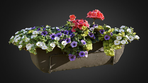 Flower Pot Photogrammetry