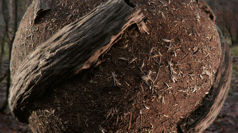 PBR - FOREST SOIL, TRUNKS, CHIPS, TWIGS, LOGS - 4K MATERIAL PACK
