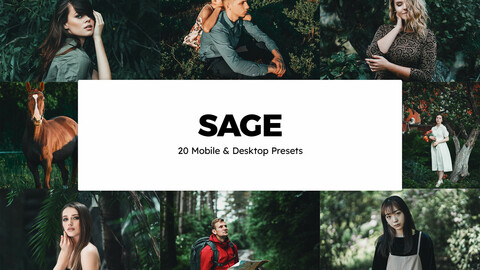 20 Sage LUTs and Lightroom Presets