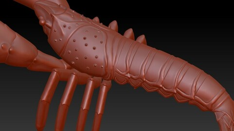 Simulation of crayfish sculpture download, crayfish model 3D download, crayfish foam model download