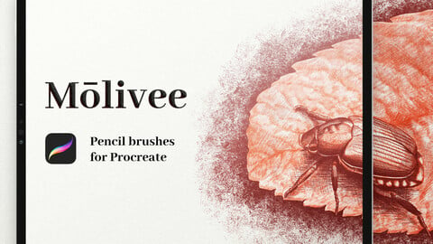Molivee Pencil Brushes for Procreate