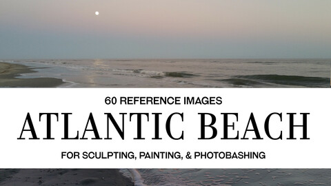Atlantic Beach - Photo Reference Pack