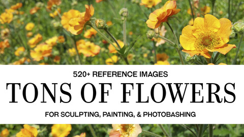 Tons of Flowers - Photo Reference Pack