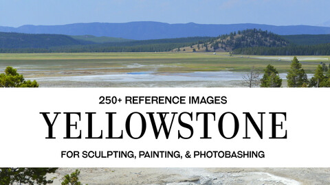 Yellowstone Photo Reference Pack