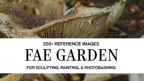 Fae Garden - Photo Reference Pack