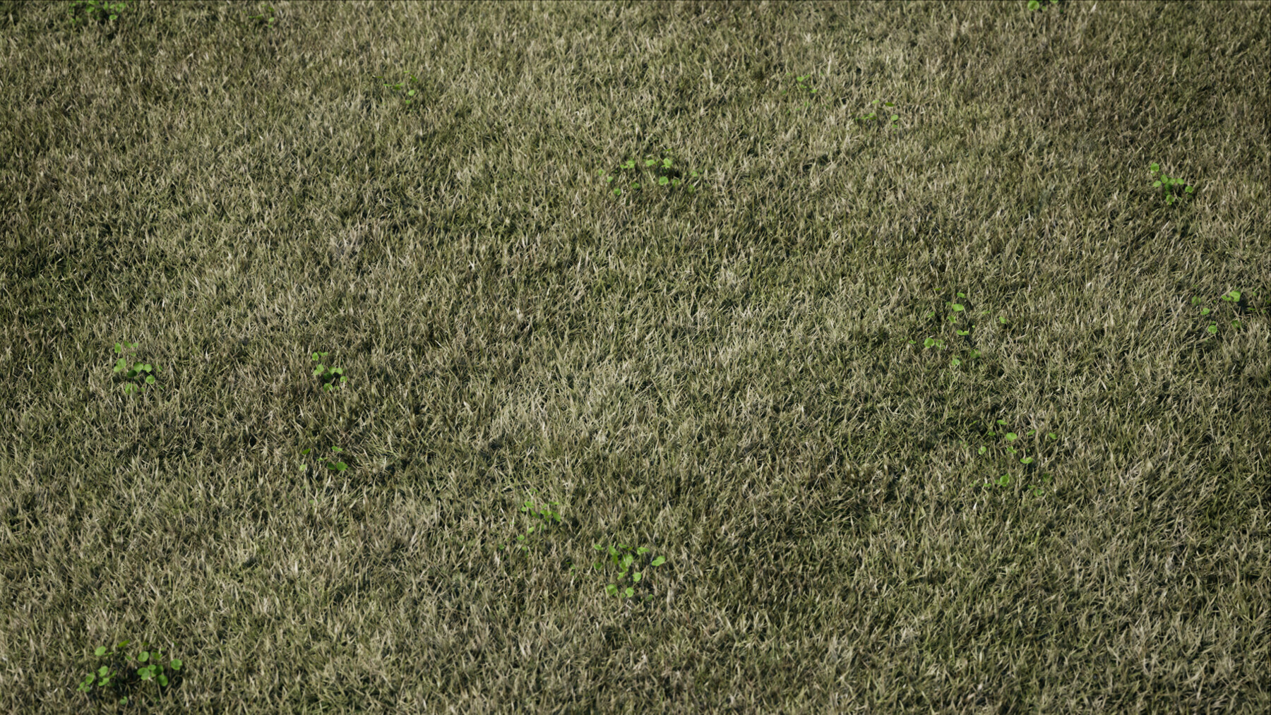 ArtStation Lawn Grass (Unreal Engine 4 / UE4) Game Assets