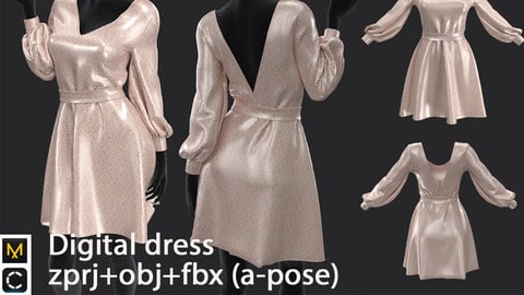 Digital dress
