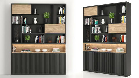 Rack and Bookcase 02