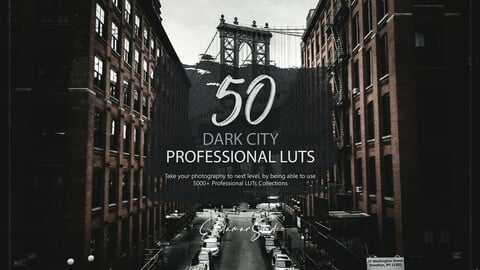 50 Dark City LUTs and Presets Pack