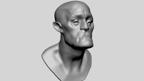 Stylized Head