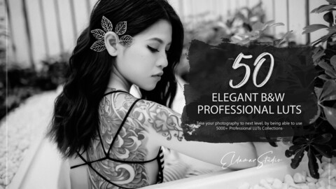 50 Elegant B&W LUTs and Presets Pack