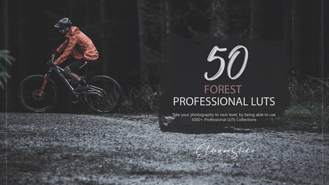 50 Forest LUTs and Presets Pack