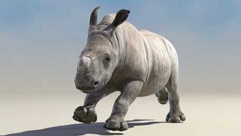 Rhino Baby Animated