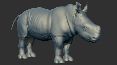 Rhino Baby Sculpt