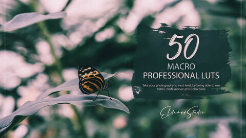 50 Macro LUTs and Presets Pack